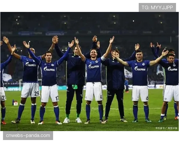 官方确认:沙尔克04中场韦德拉奥果伤势痊愈,已恢复全队合练 官方确认:沙尔克04中场韦德拉奥果伤势痊愈,已恢复全队合练